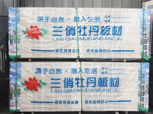 生態板